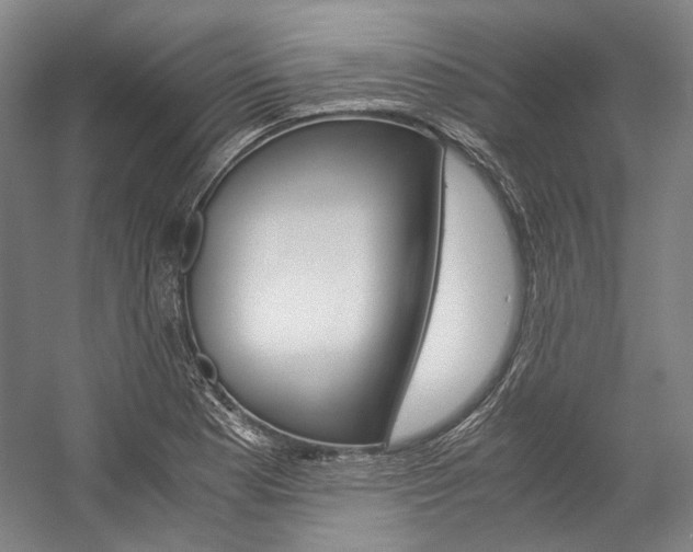 X0000057081177200509090905