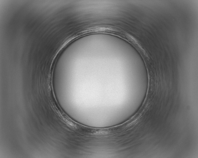 X0000057081178200509090905
