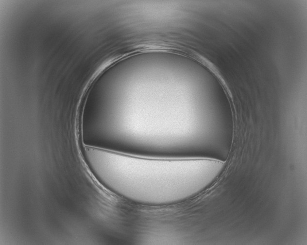 X0000057081195200509090904