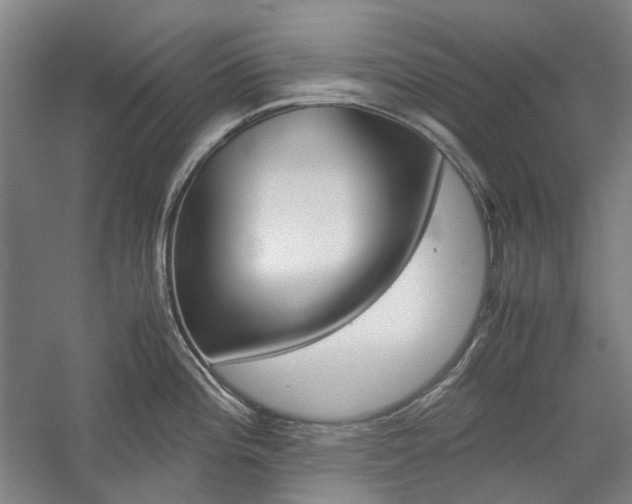 X0000057081196200509090904