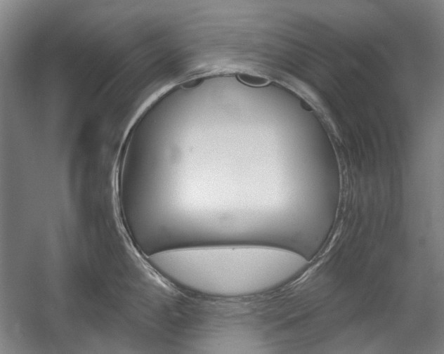 X0000057081198200509090904