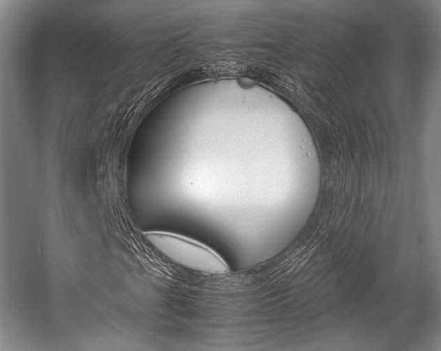X0000057081201200509090904