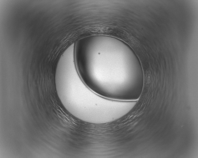 X0000057081202200509090904