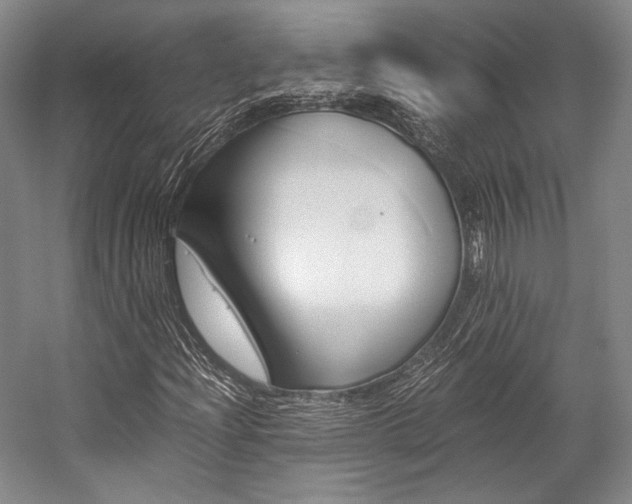 X0000057081204200509090904