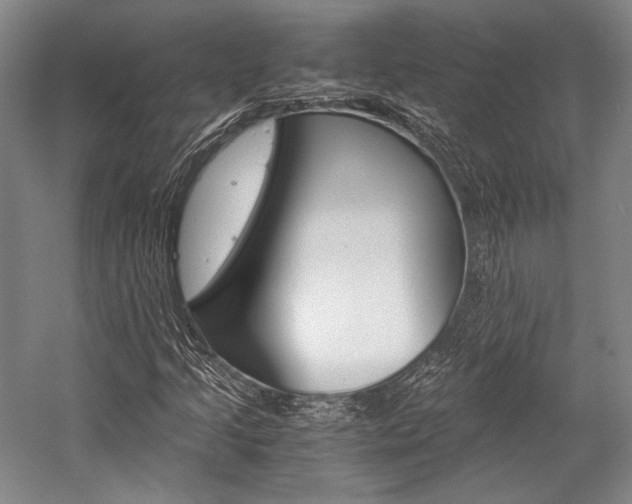 X0000057081205200509090904