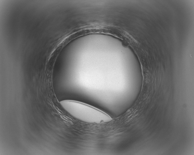 X0000057081208200509090904