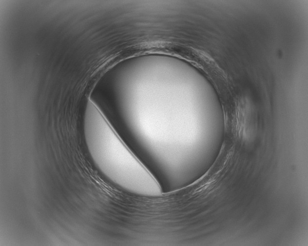 X0000057081209200509090904