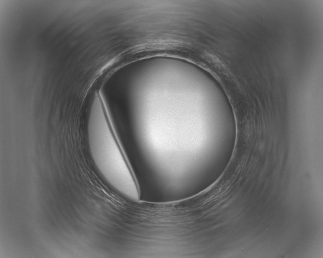 X0000057081210200509090904