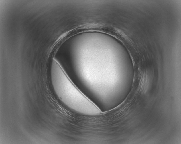 X0000057081213200509090904