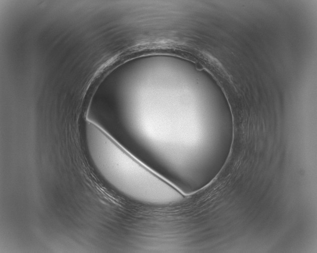X0000057081218200509090904
