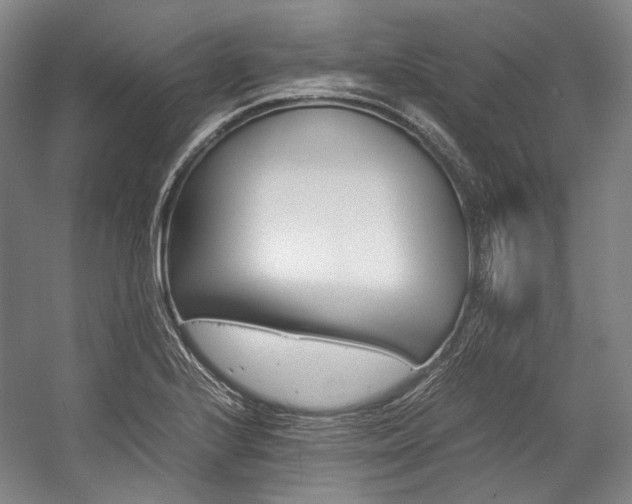 X0000057081224200509090904