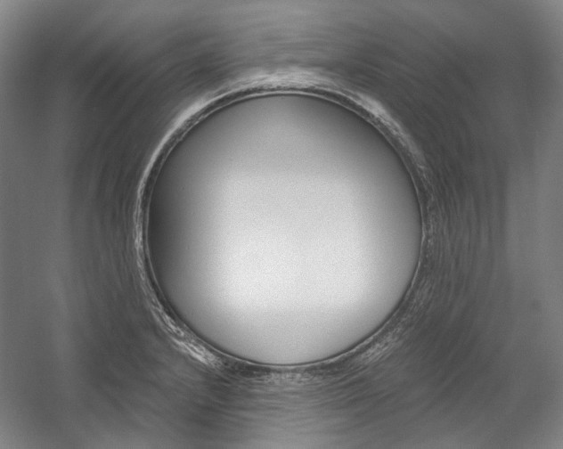 X0000057081232200509090904