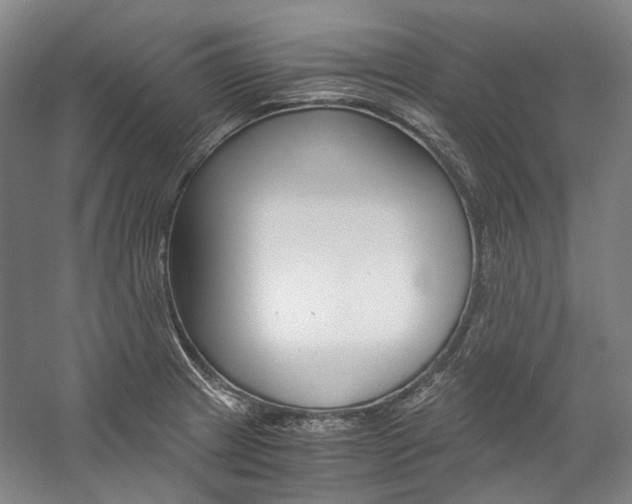 X0000057081233200509090904