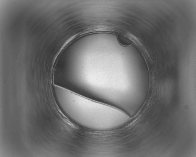 X0000057081236200509090904
