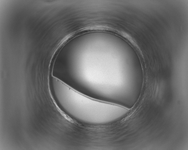 X0000057081237200509090904