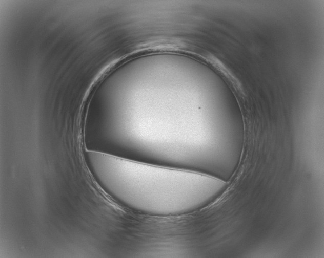 X0000057081240200509090904