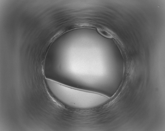 X0000057081241200509090904