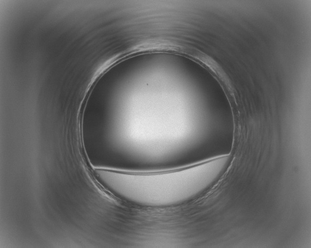 X0000057081242200509090904
