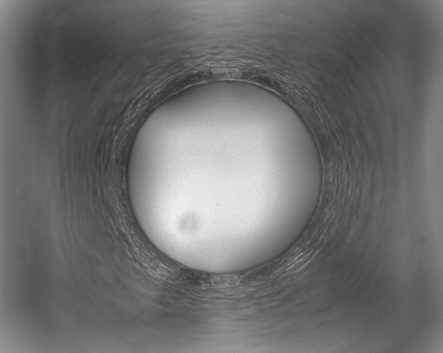 X0000057081249200509090903