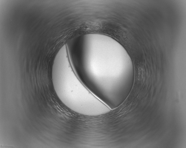 X0000057081250200509090903