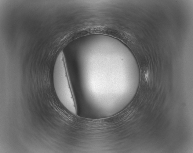 X0000057081252200509090903