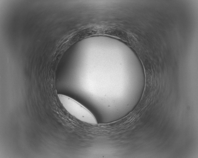 X0000057081253200509090903