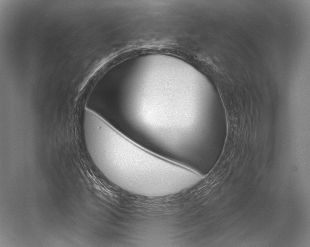 X0000057081256200509090903