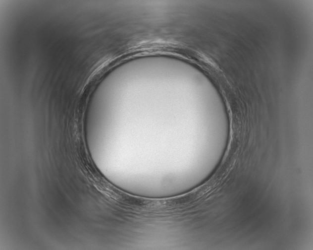X0000057081259200509090903