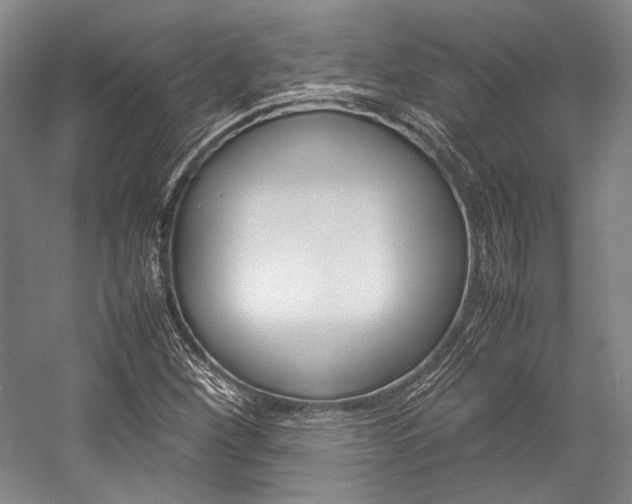 X0000057081260200509090903