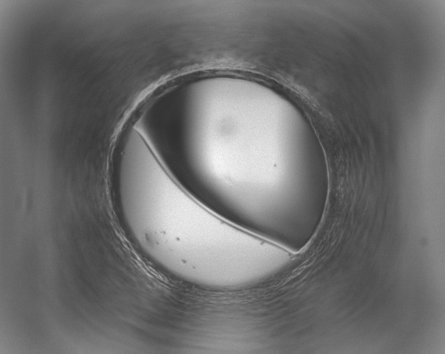 X0000057081264200509090903