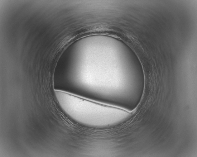 X0000057081265200509090903
