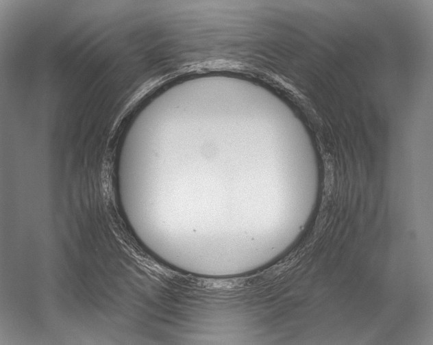 X0000057081266200509090903