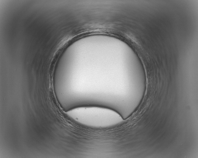 X0000057081267200509090903