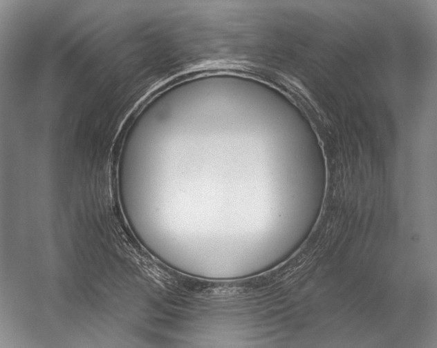 X0000057081268200509090903