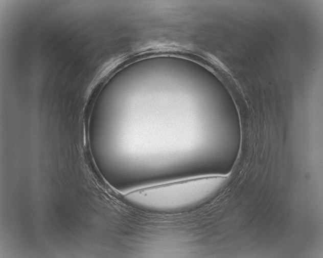 X0000057081269200509090903