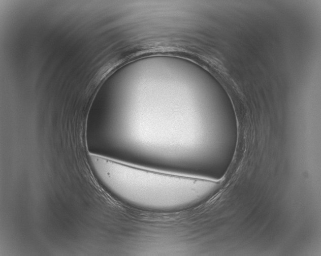 X0000057081273200509090903