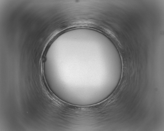 X0000057081275200509090903