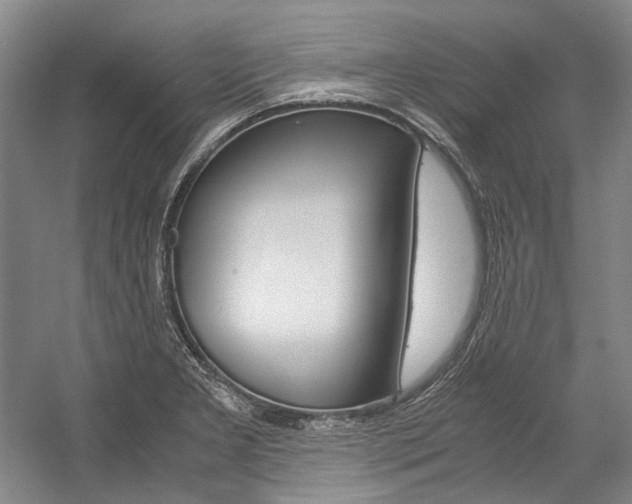 X0000057081277200509090903