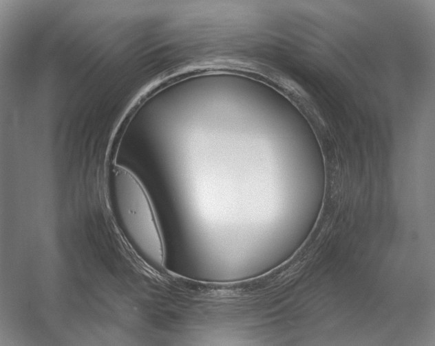 X0000057081280200509090903
