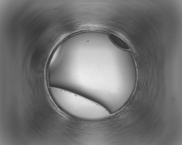 X0000057081283200509090903