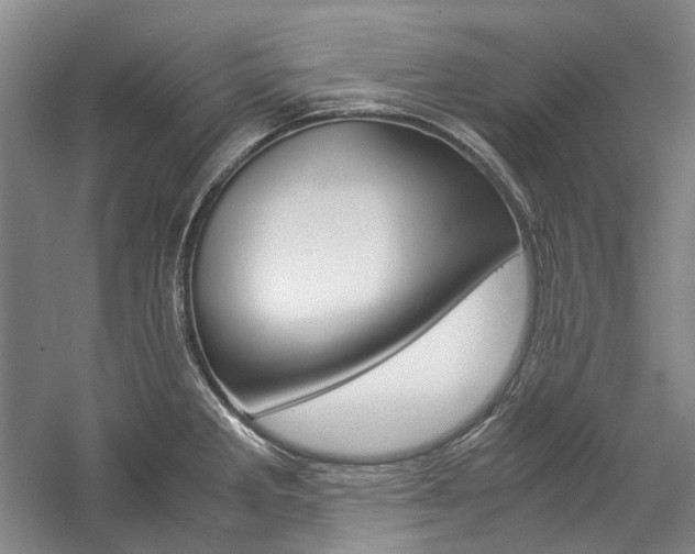 X0000057081285200509090903