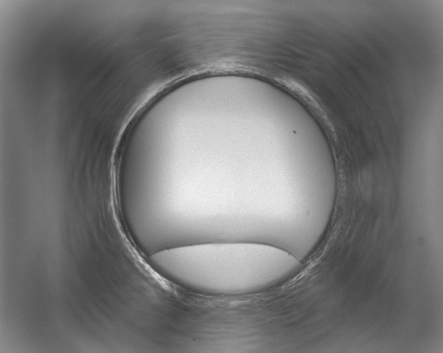 X0000057081286200509090903