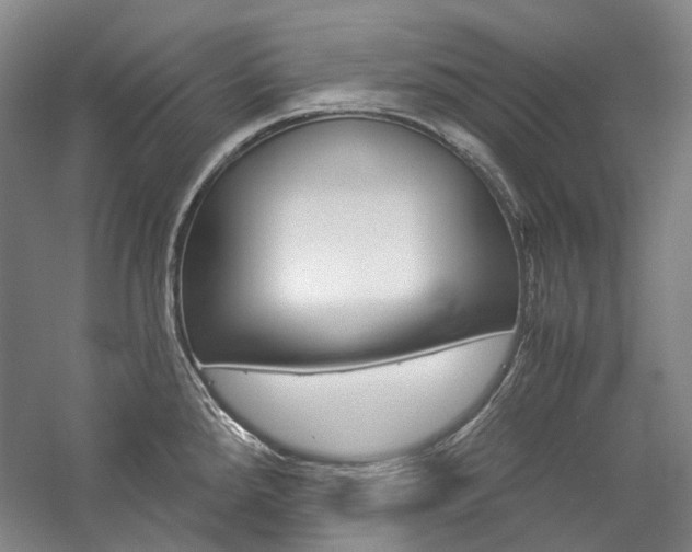 X0000057081288200509090903