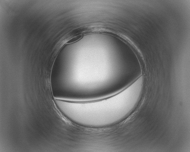 X0000057081289200509090903
