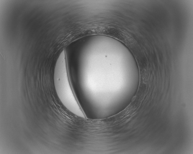 X0000057081298200509090902