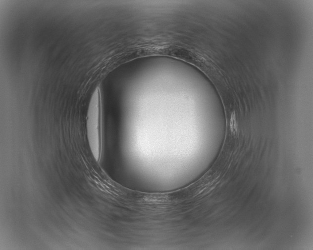 X0000057081299200509090902