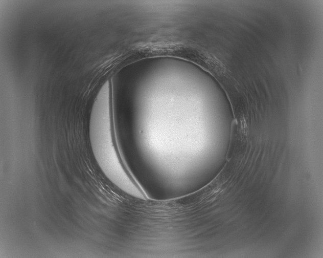 X0000057081300200509090902