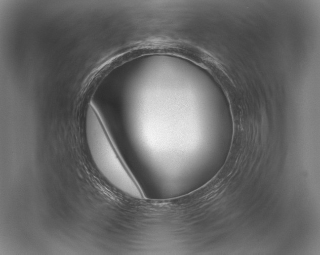 X0000057081304200509090902