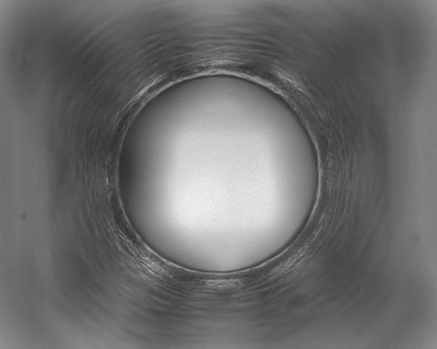 X0000057081305200509090902