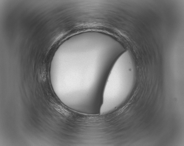 X0000057081306200509090902